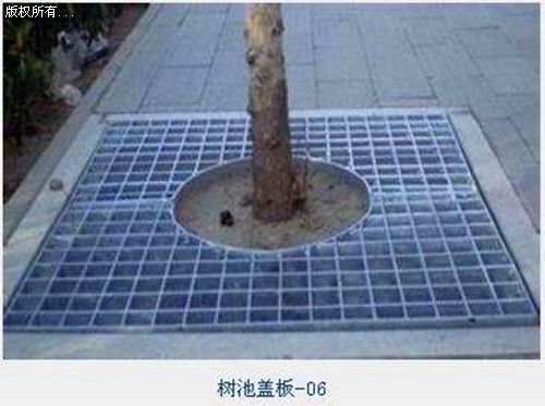 ���P䓘���w�w��